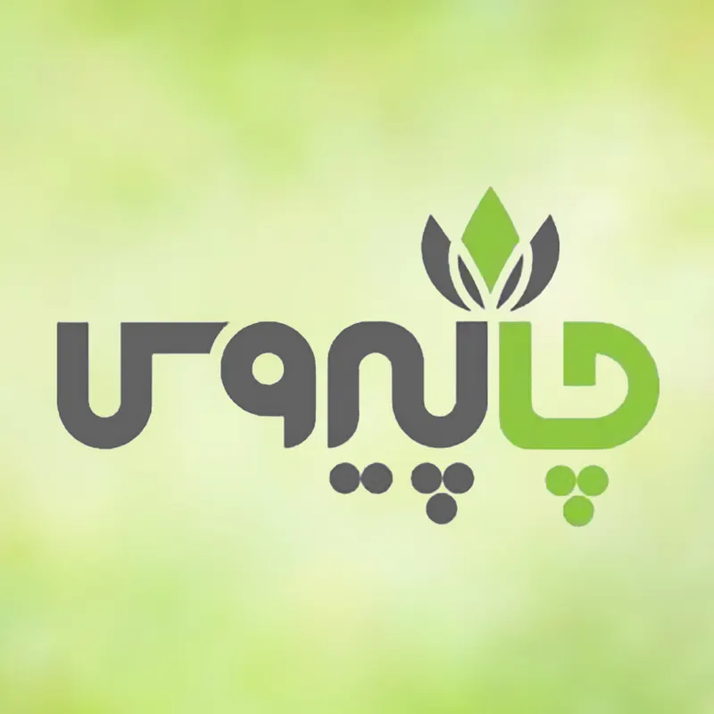 خدمات سایت چاپیروس