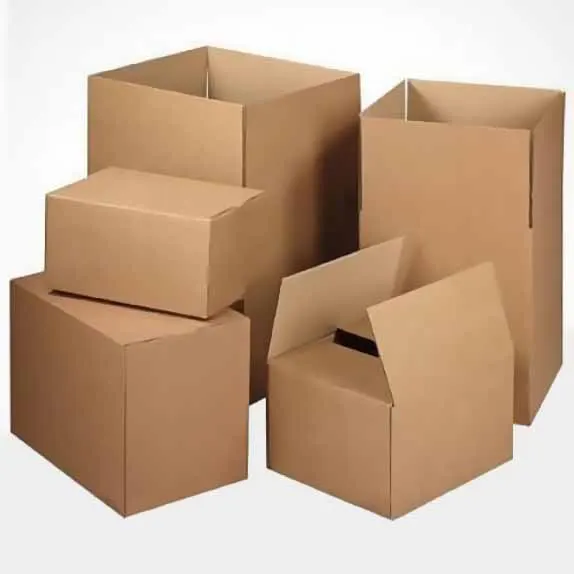 کارتن پایتخت