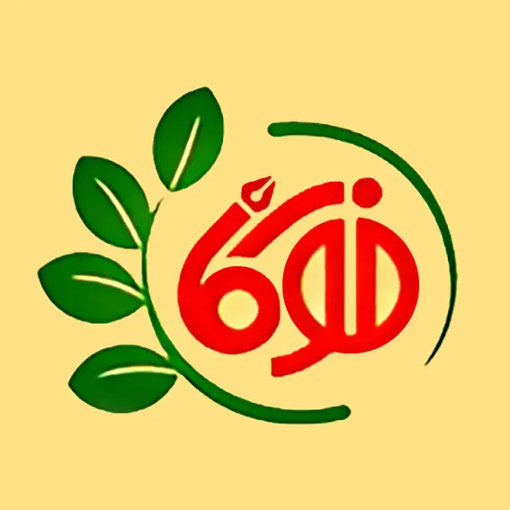 طراحی گرافیک فوکا