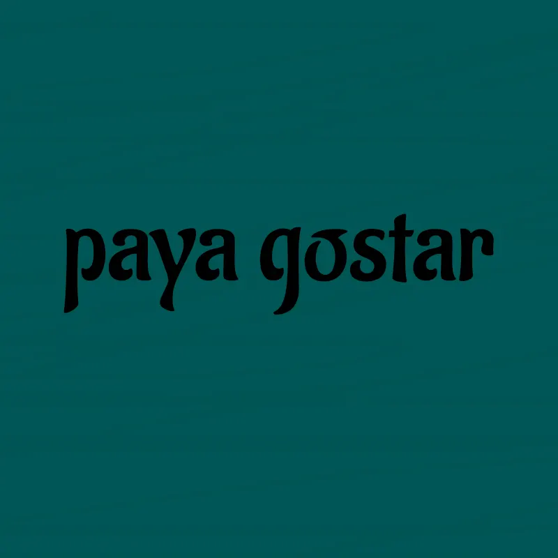 پایا گستر جانیار